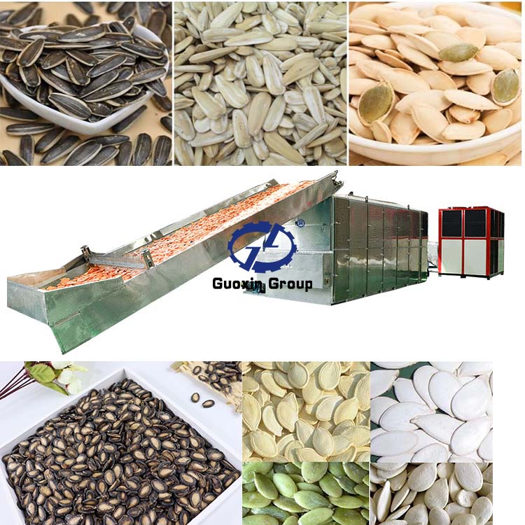 Pumpkin Seed dryer