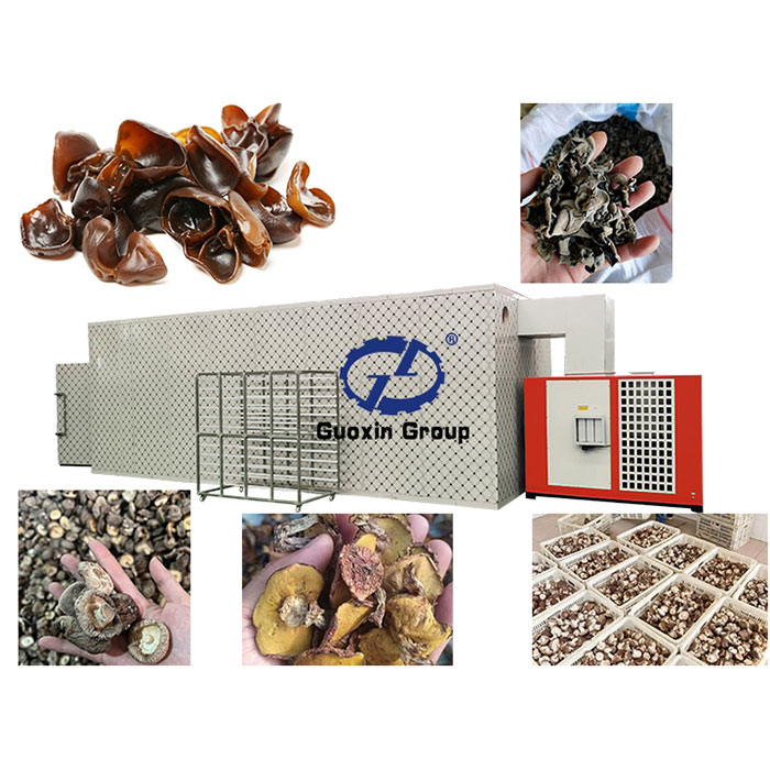 Fungus Dryer machine
