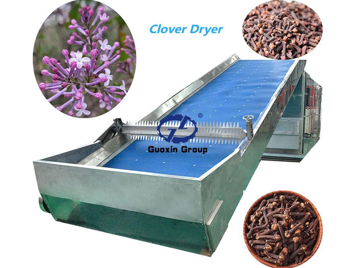 Clove drying machine
