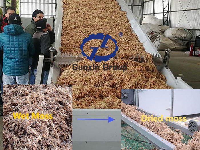 Drying site of peat moss in Chile